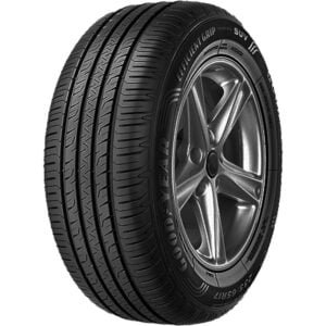Padanga  GOODYEAR EFFICIENTGRIP PERFORMANCE SUV 245/45R19 102V