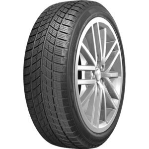 Padanga  DOUBLESTAR DW09 315/35R20 106T