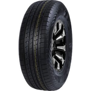Padanga  DOUBLESTAR DS01 255/55R20 110V
