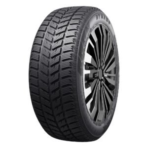 Padanga  DYNAMO SNOW-H MSL01 185/55R15 86T