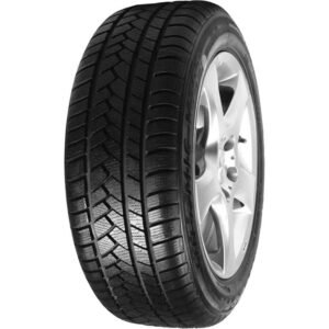 Padanga  MALATESTA THERMIC M79T 205/55R16 91V