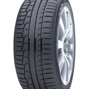Padanga  NOKIAN WR A3 255/40R19 100V